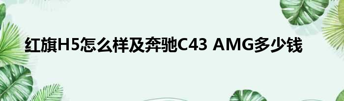 红旗H5怎么样及奔驰C43 AMG多少钱