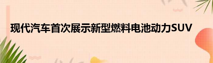 现代汽车首次展示新型燃料电池动力SUV