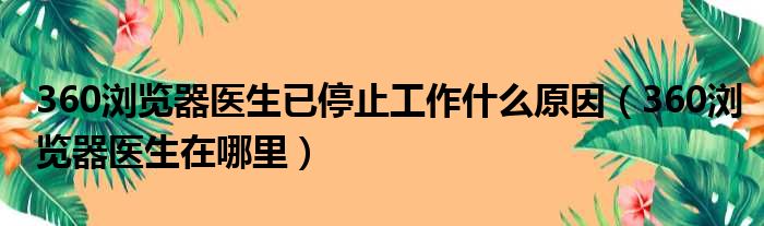 360浏览器医生已停止工作什么原因（360浏览器医生在哪里）
