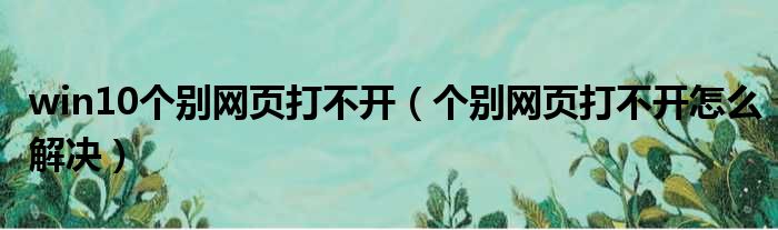 win10个别网页打不开（个别网页打不开怎么解决）