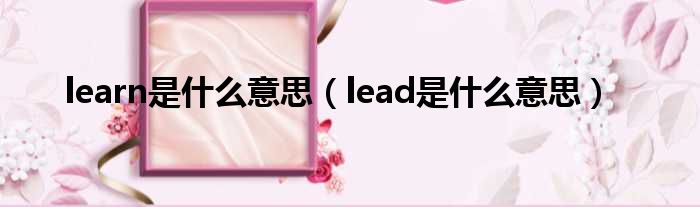 learn是什么意思（lead是什么意思）