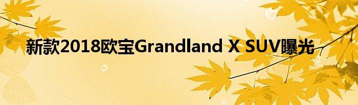 新款2018欧宝Grandland X SUV曝光