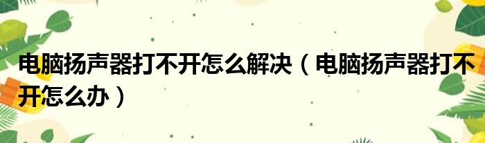 电脑扬声器打不开怎么解决（电脑扬声器打不开怎么办）