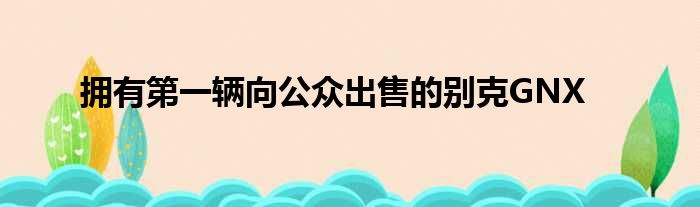 拥有第一辆向公众出售的别克GNX