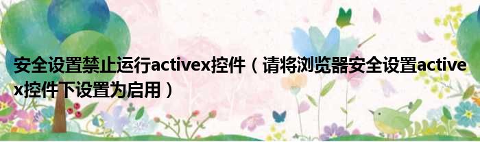 安全设置禁止运行activex控件（请将浏览器安全设置activex控件下设置为启用）