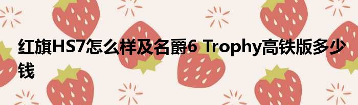 红旗HS7怎么样及名爵6 Trophy高铁版多少钱