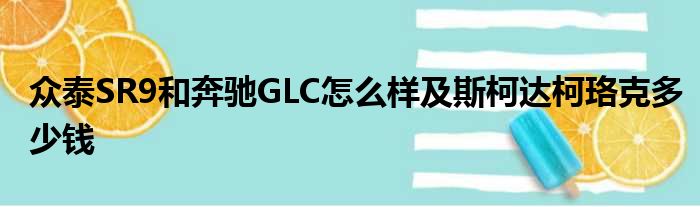 众泰SR9和奔驰GLC怎么样及斯柯达柯珞克多少钱