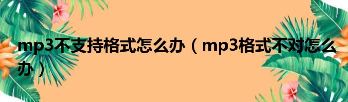 mp3不支持格式怎么办（mp3格式不对怎么办）