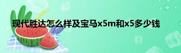 现代胜达怎么样及宝马x5m和x5多少钱