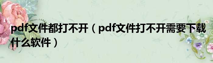 pdf文件都打不开（pdf文件打不开需要下载什么软件）