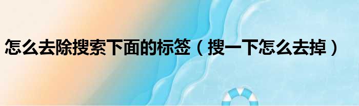 怎么去除搜索下面的标签（搜一下怎么去掉）