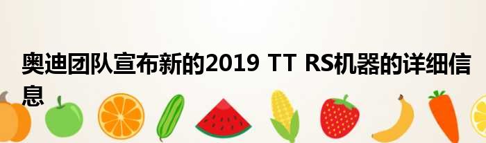 奥迪团队宣布新的2019 TT RS机器的详细信息