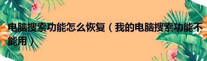 电脑搜索功能怎么恢复（我的电脑搜索功能不能用）