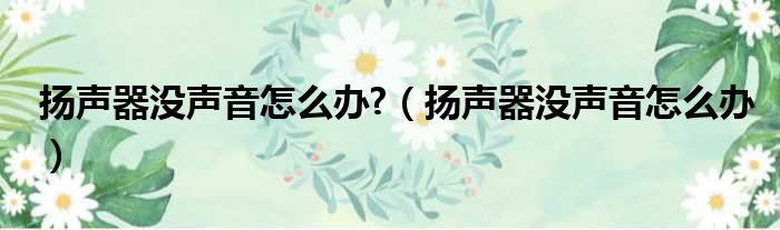 扬声器没声音怎么办?（扬声器没声音怎么办）