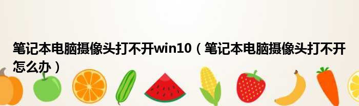 笔记本电脑摄像头打不开win10（笔记本电脑摄像头打不开怎么办）