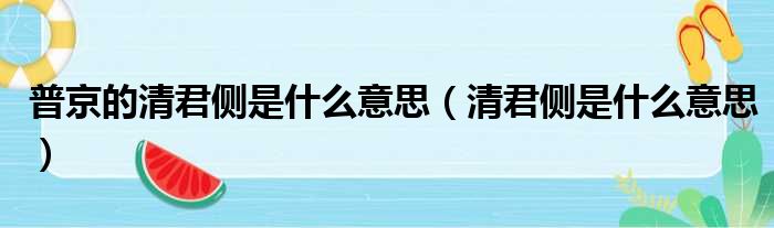 普京的清君侧是什么意思（清君侧是什么意思）