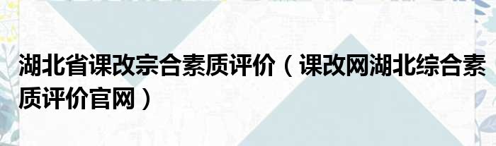 湖北省课改宗合素质评价（课改网湖北综合素质评价官网）