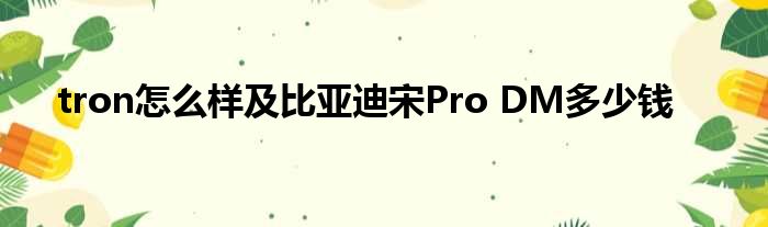 tron怎么样及比亚迪宋Pro DM多少钱