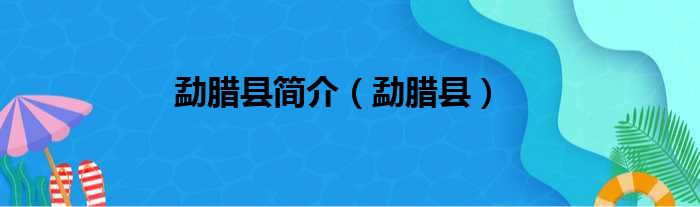 勐腊县简介（勐腊县）