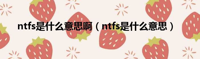 ntfs是什么意思啊（ntfs是什么意思）