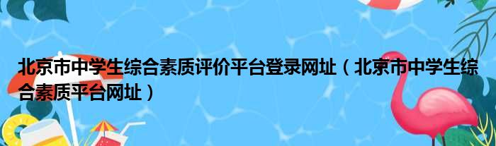 北京市中学生综合素质评价平台登录网址（北京市中学生综合素质平台网址）