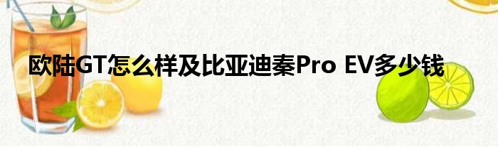 欧陆GT怎么样及比亚迪秦Pro EV多少钱