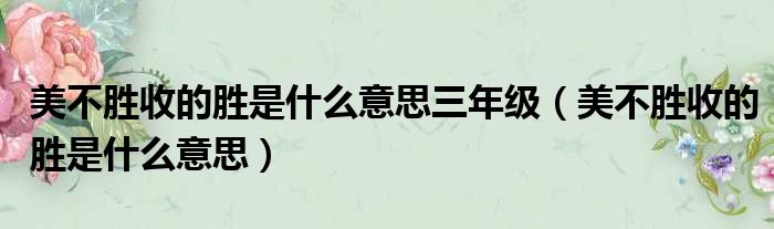 美不胜收的胜是什么意思三年级（美不胜收的胜是什么意思）