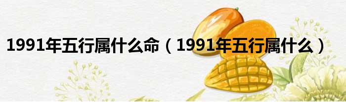 1991年五行属什么命（1991年五行属什么）