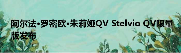 阿尔法·罗密欧·朱莉娅QV Stelvio QV限量版发布