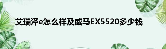 艾瑞泽e怎么样及威马EX5520多少钱