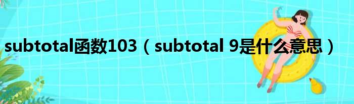 subtotal函数103（subtotal 9是什么意思）