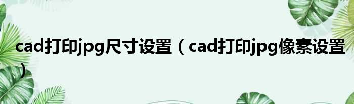 cad打印jpg尺寸设置（cad打印jpg像素设置）