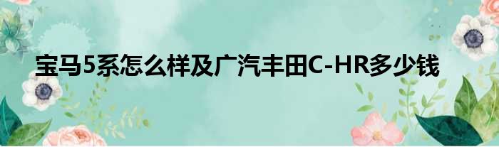 宝马5系怎么样及广汽丰田C-HR多少钱