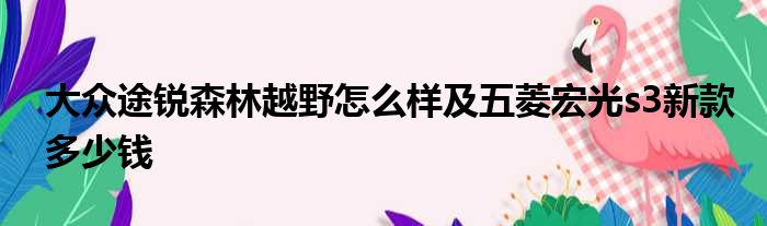 大众途锐森林越野怎么样及五菱宏光s3新款多少钱