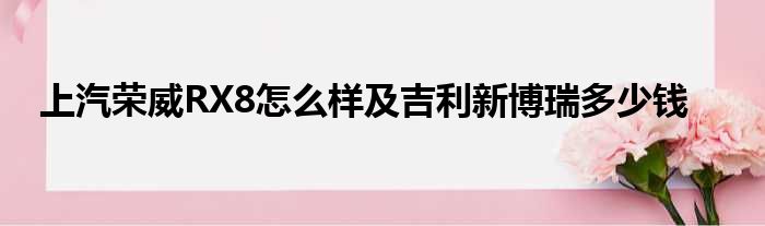 上汽荣威RX8怎么样及吉利新博瑞多少钱