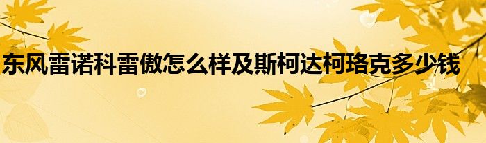 东风雷诺科雷傲怎么样及斯柯达柯珞克多少钱