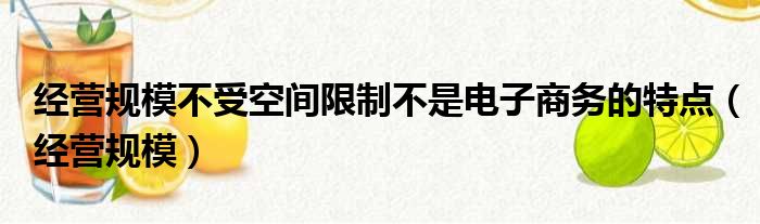 经营规模不受空间限制不是电子商务的特点（经营规模）