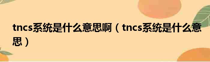 tncs系统是什么意思啊（tncs系统是什么意思）