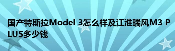 国产特斯拉Model 3怎么样及江淮瑞风M3 PLUS多少钱