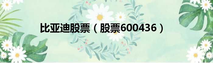 比亚迪股票（股票600436）