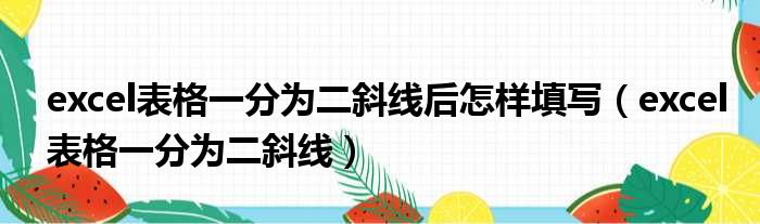 excel表格一分为二斜线后怎样填写（excel表格一分为二斜线）