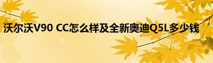 沃尔沃V90 CC怎么样及全新奥迪Q5L多少钱