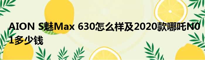 AION S魅Max 630怎么样及2020款哪吒N01多少钱