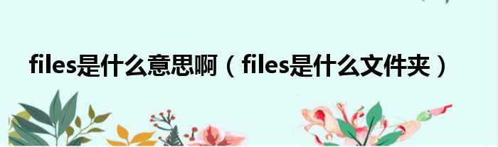 files是什么意思啊（files是什么文件夹）