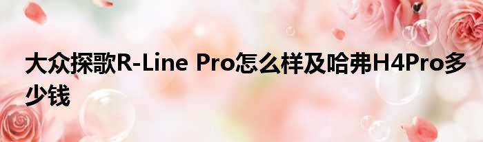 大众探歌R-Line Pro怎么样及哈弗H4Pro多少钱