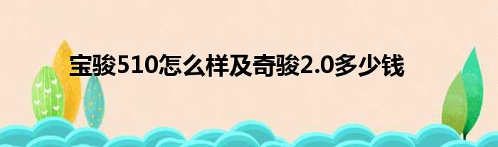 宝骏510怎么样及奇骏2.0多少钱