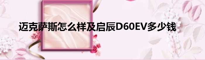 迈克萨斯怎么样及启辰D60EV多少钱