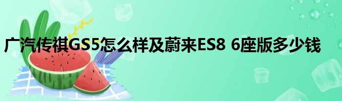 广汽传祺GS5怎么样及蔚来ES8 6座版多少钱