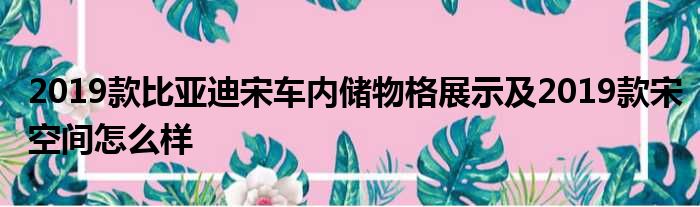 2019款比亚迪宋车内储物格展示及2019款宋空间怎么样