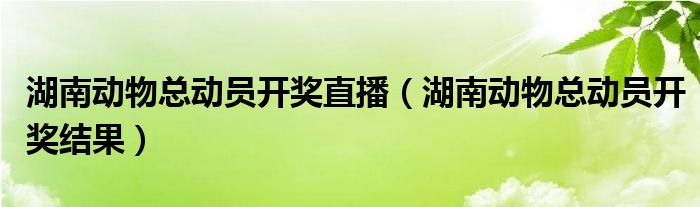 湖南动物总动员开奖直播（湖南动物总动员开奖结果）